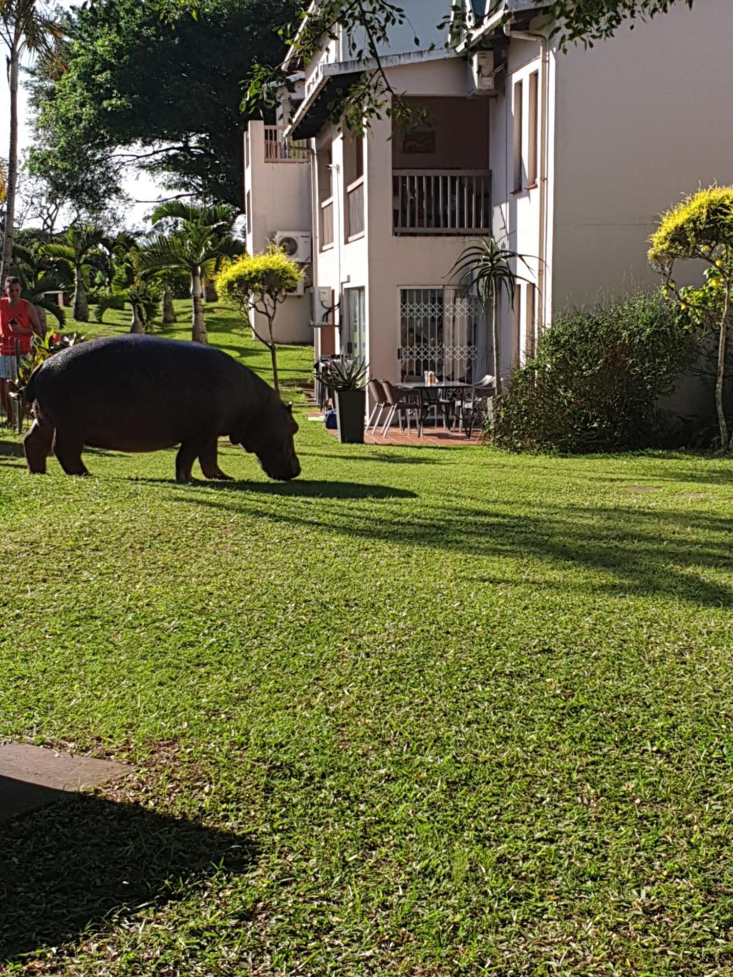 Ferienwohnung Unit 30 The Bridge - Family Unit In A Prime Spot On The Ground Floor Saint Lucia Estuary Exterior foto